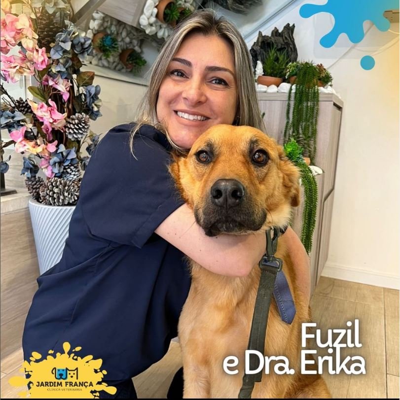 Clínica Veterinária Jardim França - Santana Zona Norte São Paulo