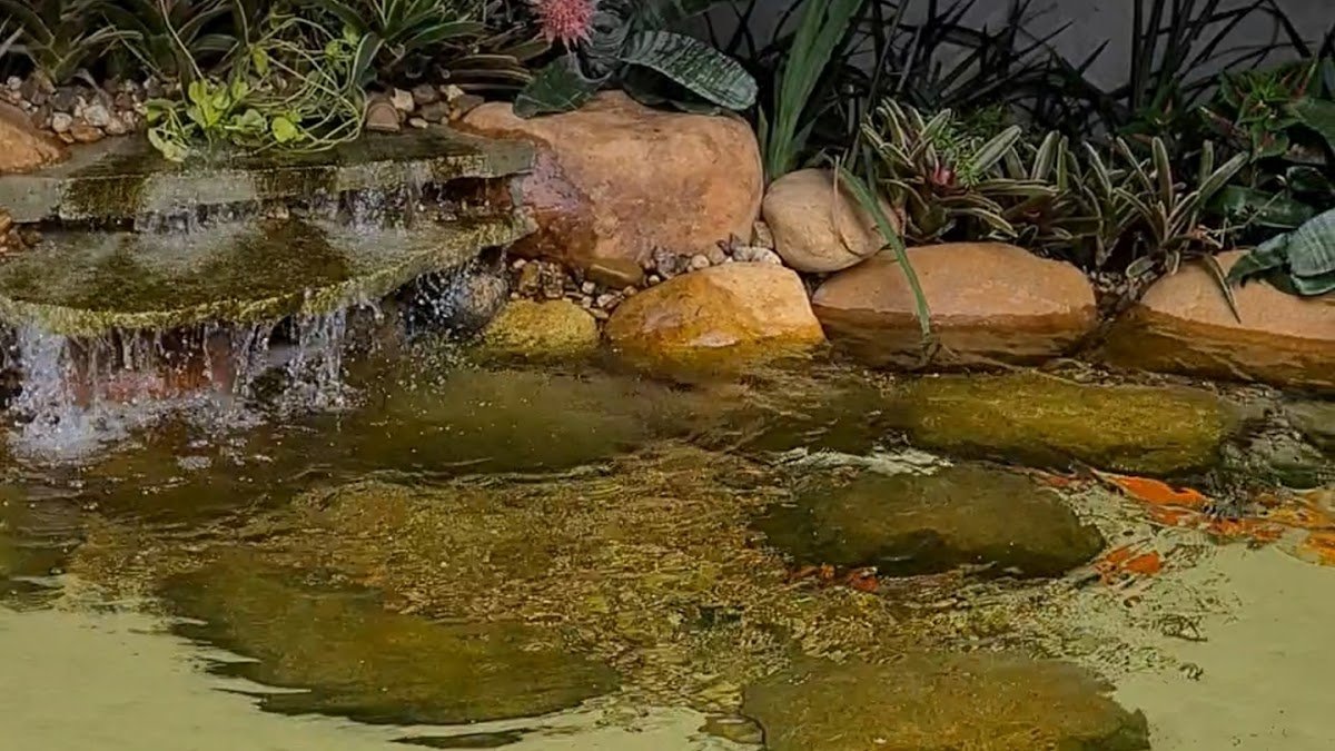 Pet Vida centro veterinario & pet shop