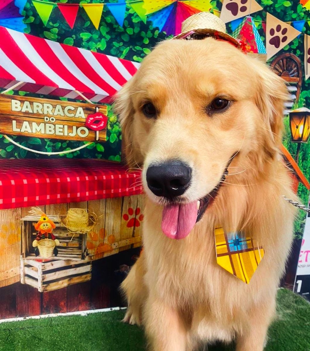 TOPets Estética Animal