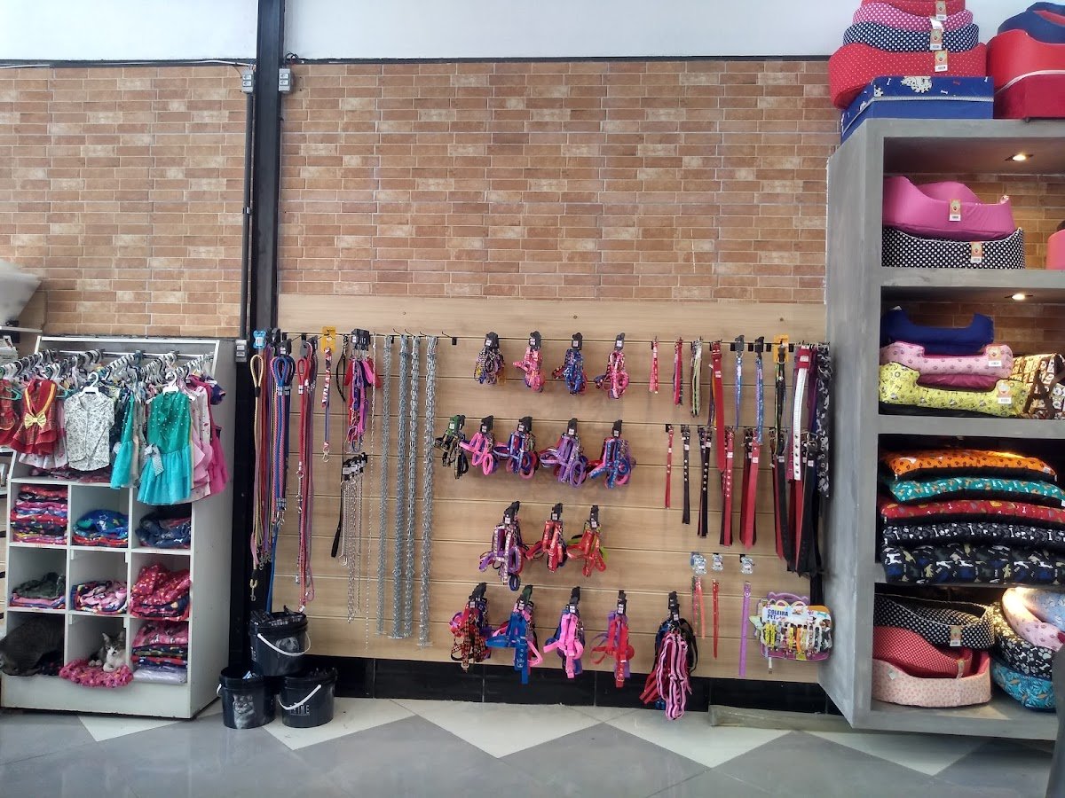 Pets e Flora Pet Shop Banho e Tosa Jd. São João Guarulhos SP