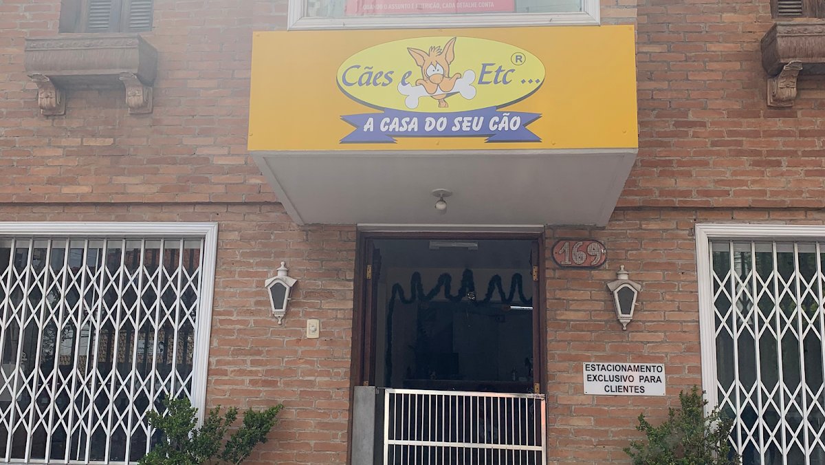 Cães e etc
