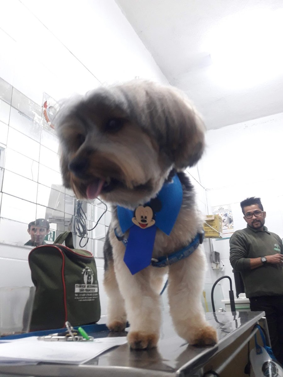 Clínica Veterinaria de Paulo Rossi