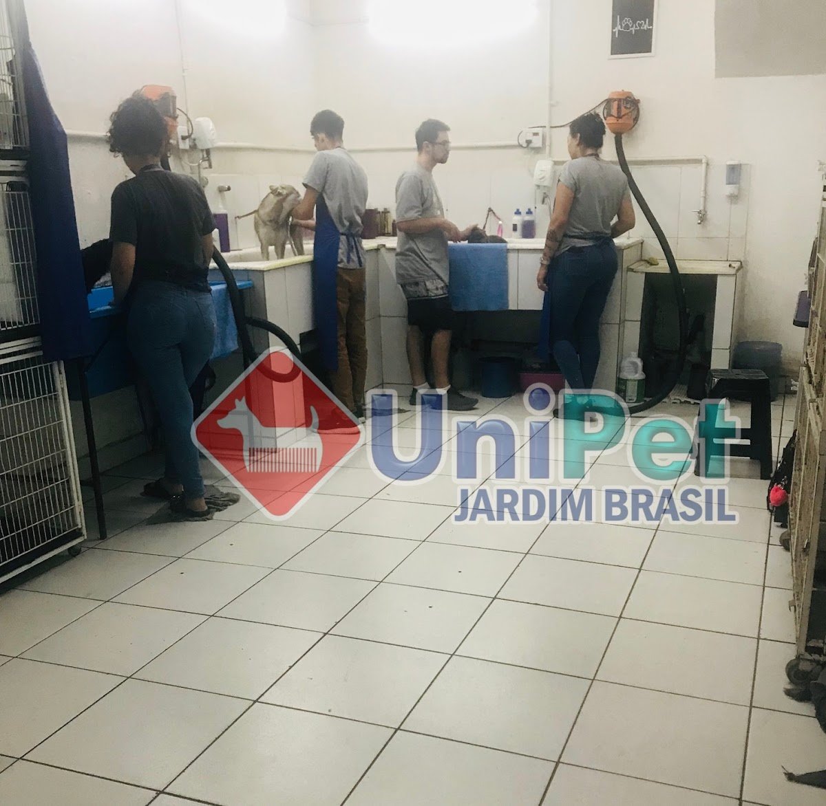 Unipet Zona Norte - Curso de Banho e Tosa