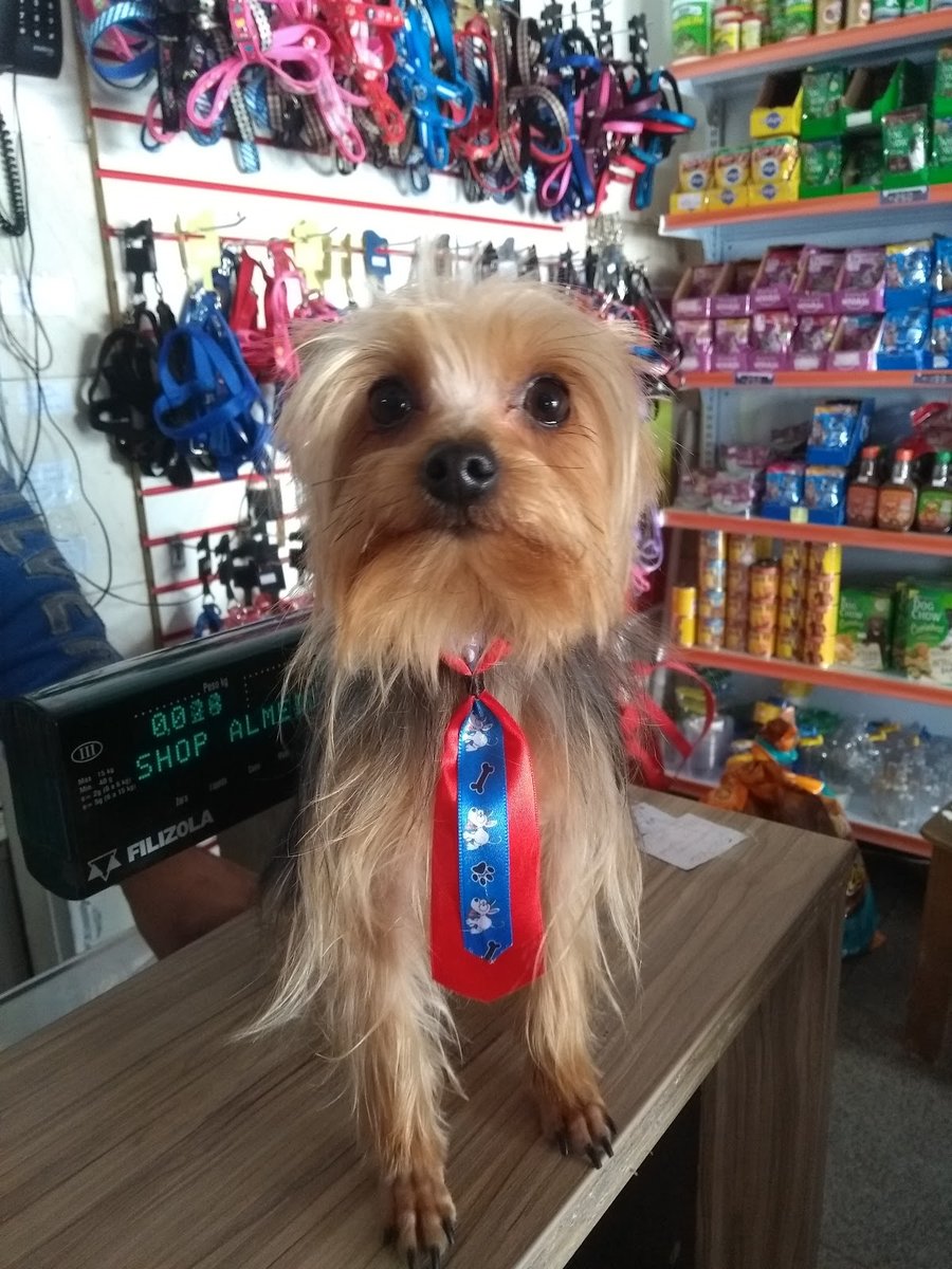 Pet Shop Almeida Durão