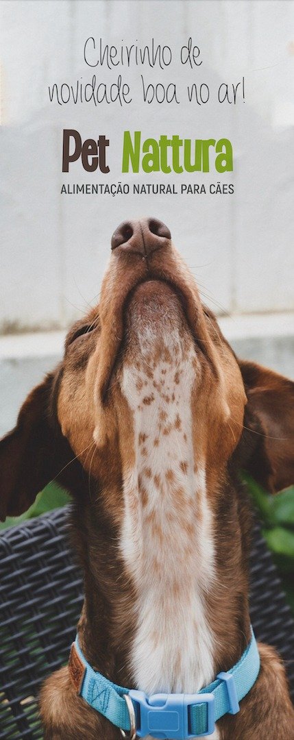 Pettchen Alimentação Natural para Cães