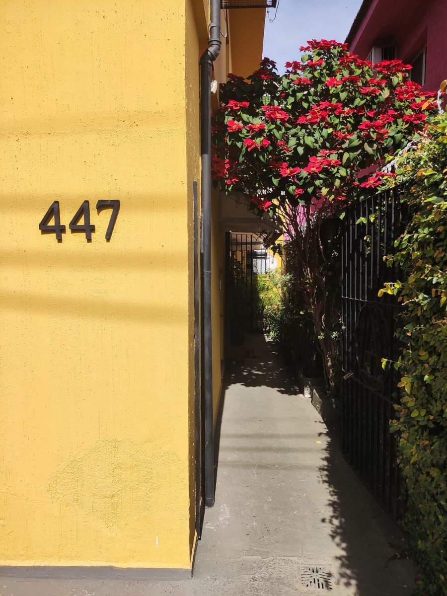 Pet Lux - Banho e Tosa