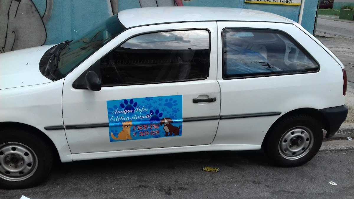 Amigos Fofos - Estética Animal