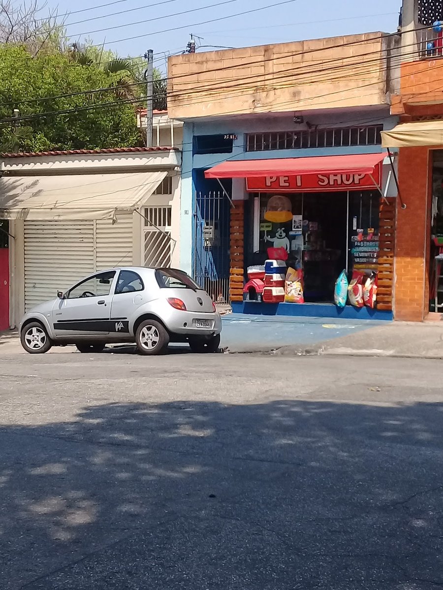 Luciano Borges Pet Shop