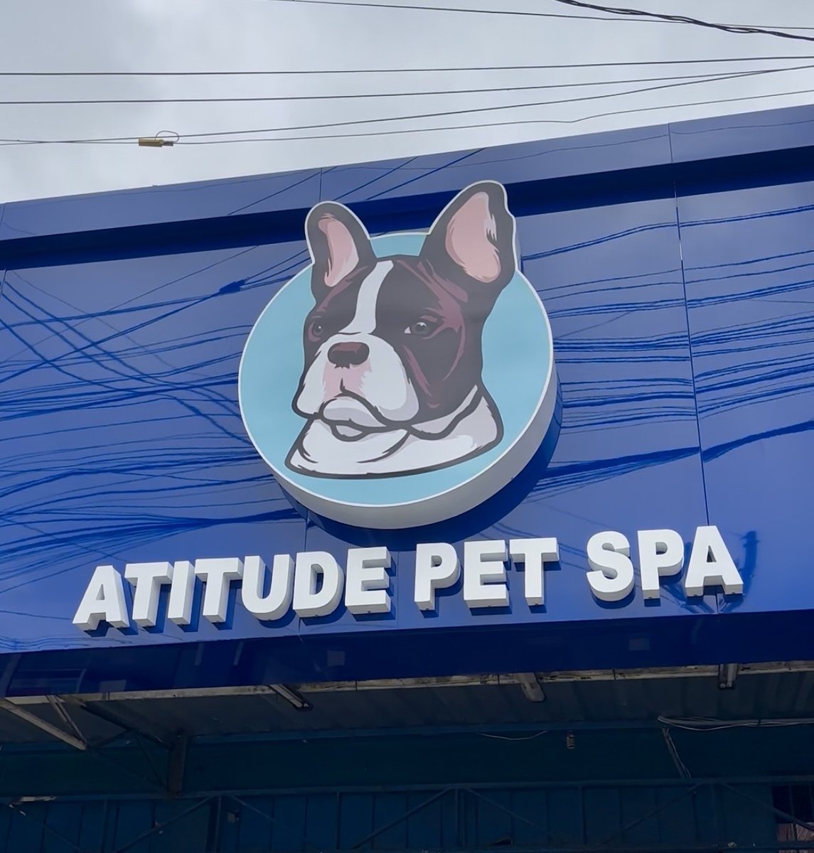 Atitude Pet Shop