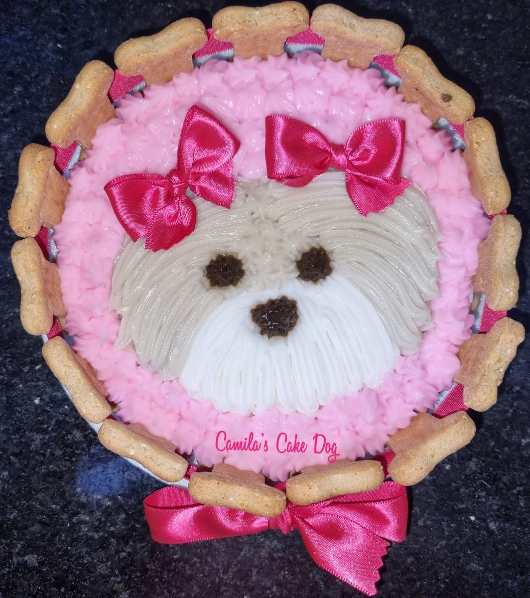 Camila's Cake Dog - Bolo pra Cachorro