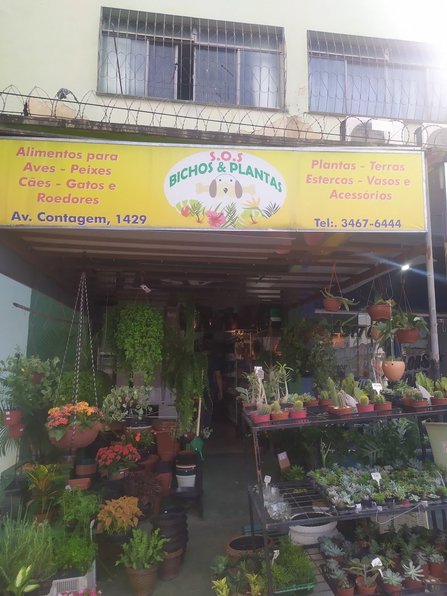 Bem querer - Casa, jardim e pet