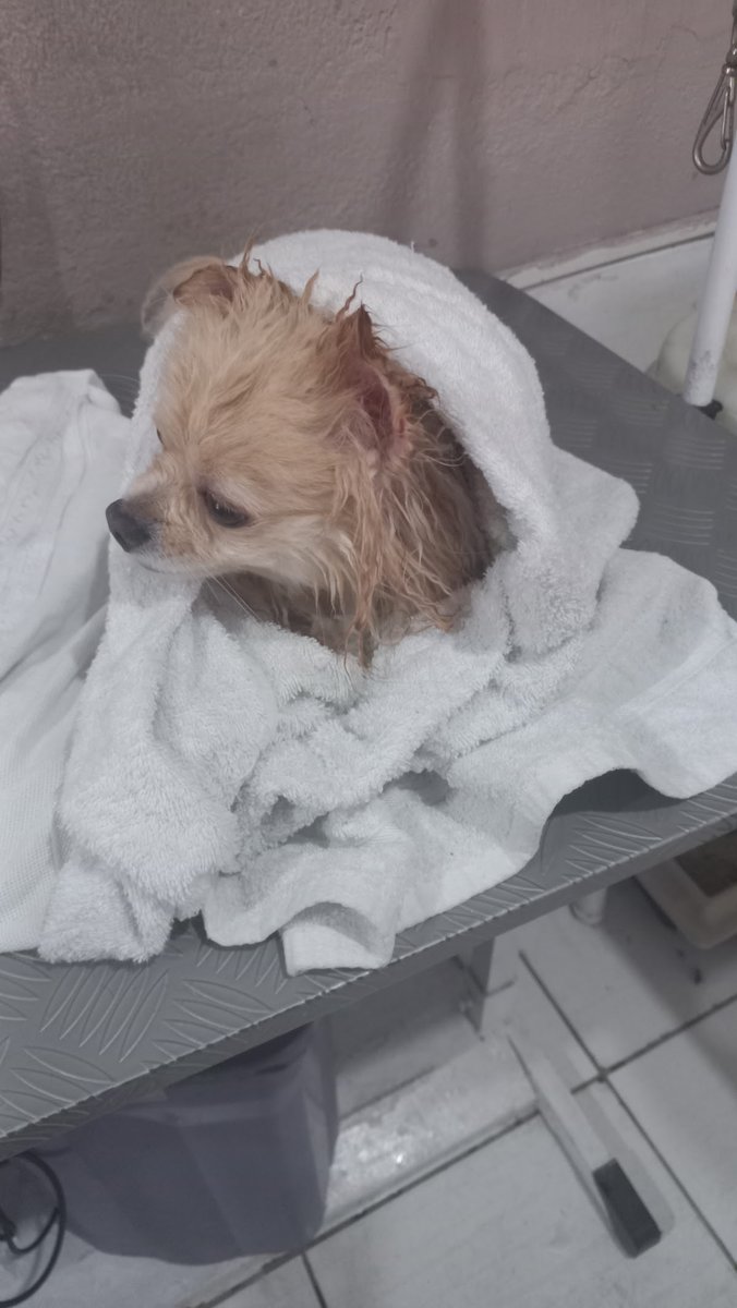 Clínica veterinária e petshop Dr.Aluá Oliveira