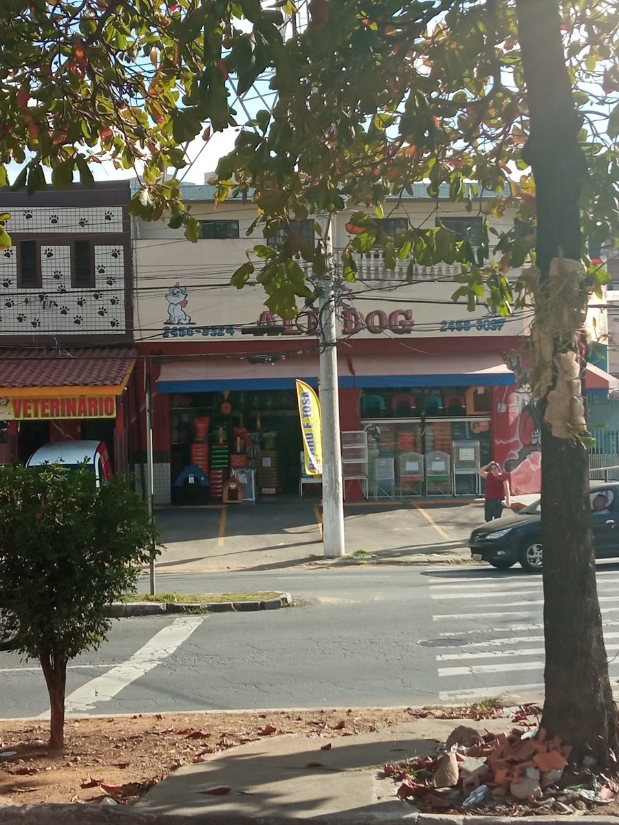 All Dog Banho e Tosa Veterinário Clinica Veterinária Pet Shop em Guarulhos