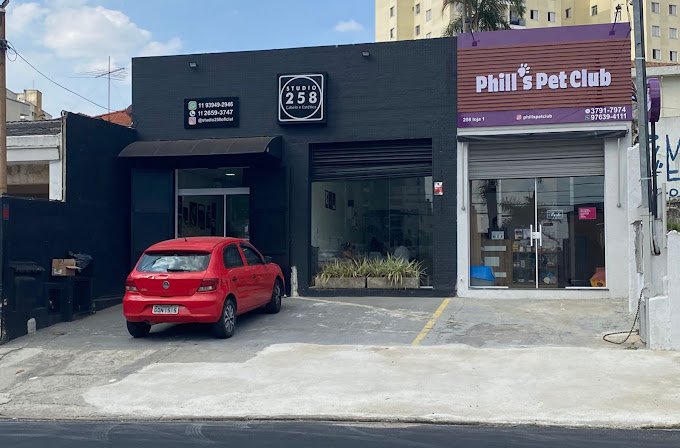 Phill's Pet Club: Pet Shop e Banho e Tosa no Lauzane Paulista