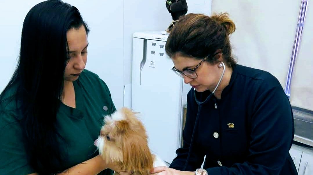 Clínica Veterinária Rua das Rosas