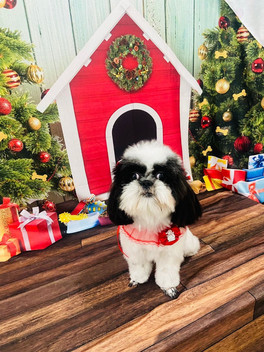 Pet Shop Cuidando Bem