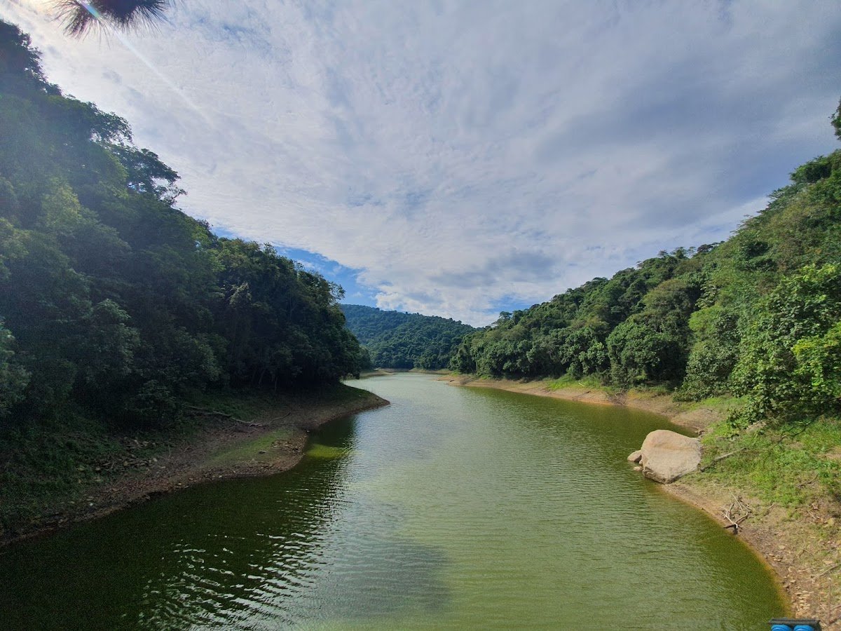 State Park Cantareira - Core Engordador