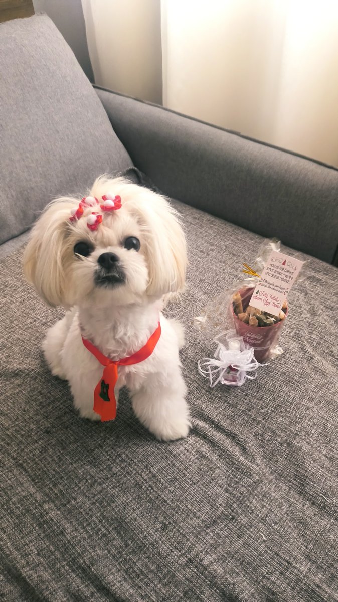 Pet Hisama Clínica Veterinária