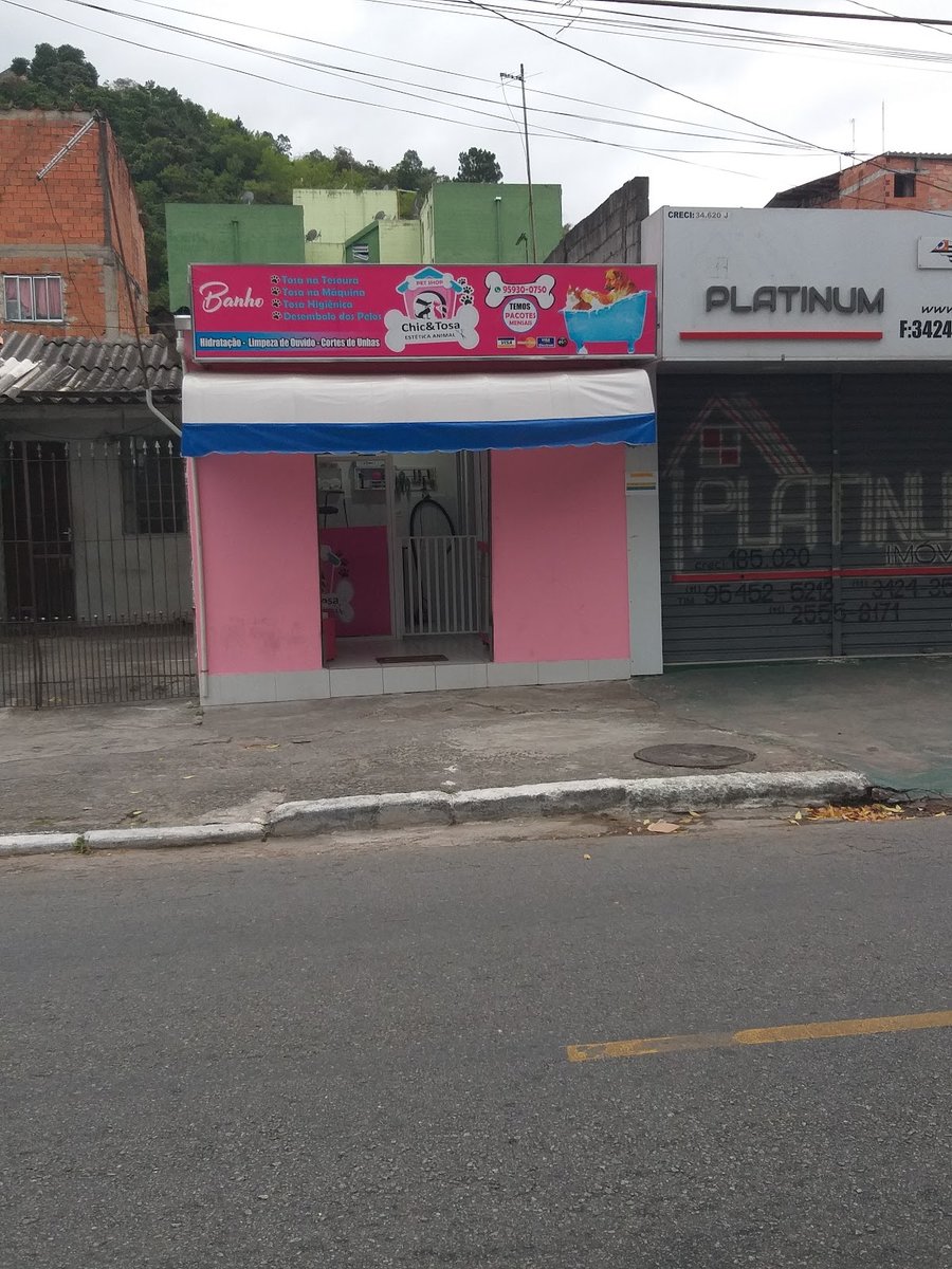 Estética Canina Animal Chick