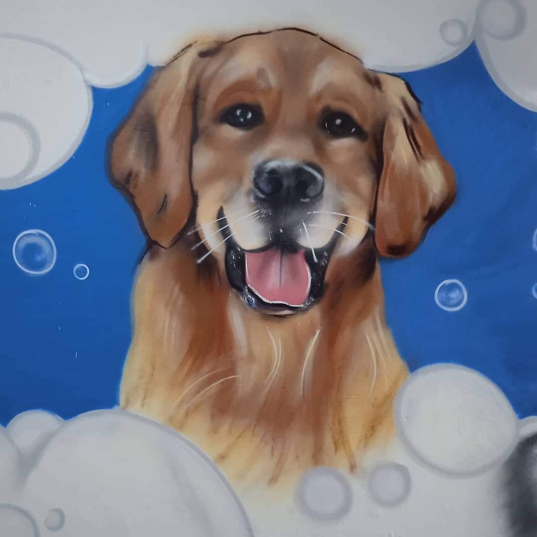 Remandog Banho e Tosa e Hotel, creche e Day care para pet