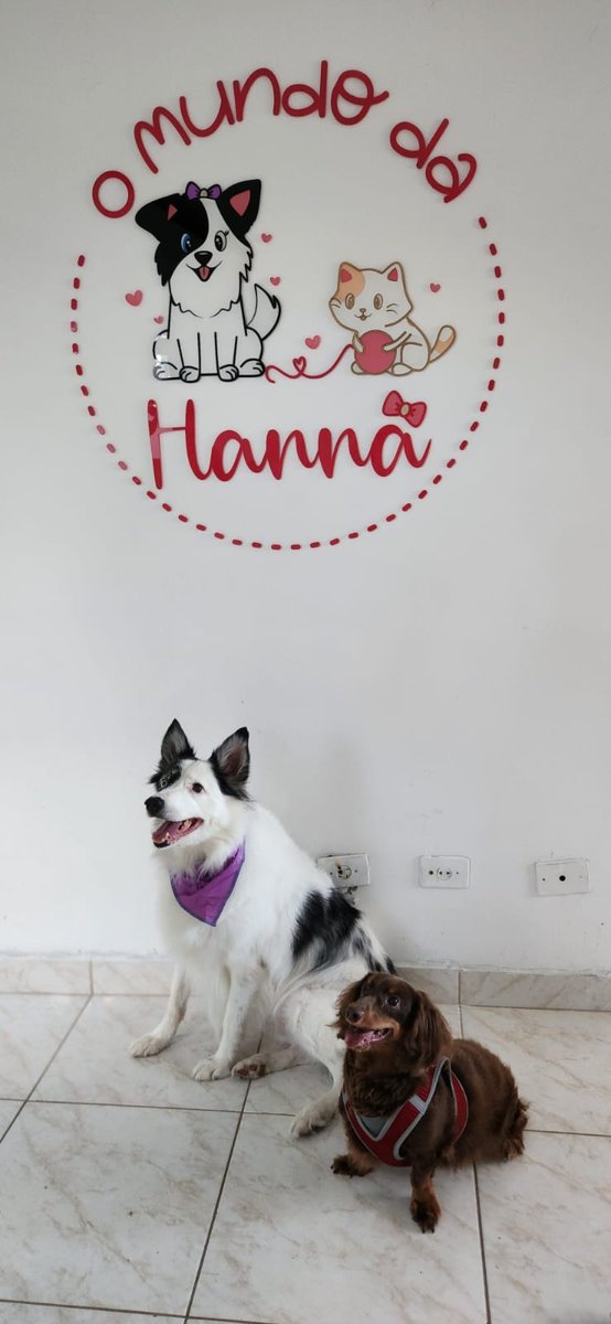 O Mundo da Hanna Pets