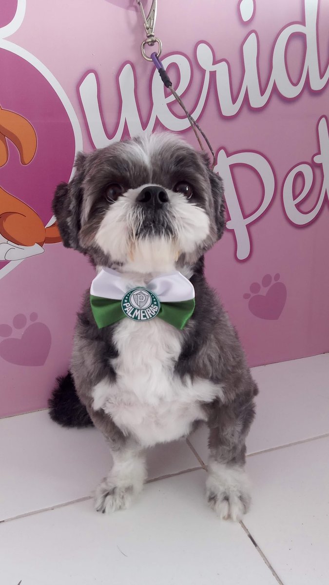 Querido Pet - Banho e Tosa