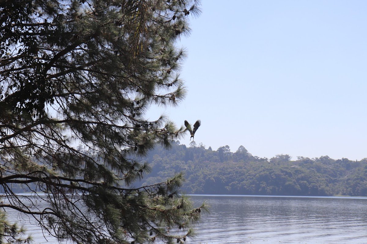 Parque do Terceiro Lago