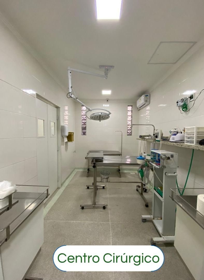 Veterinary Clinic Anvet Dogs and Cats