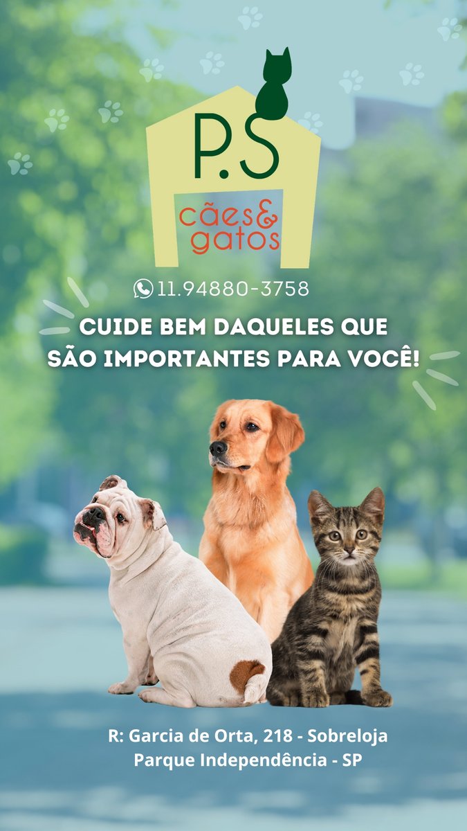 PS Cães & Gatos consultório veterinário