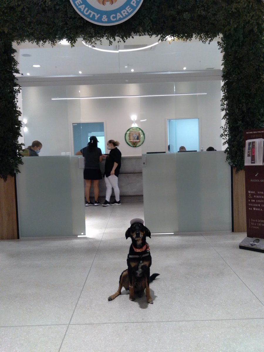 Crystal Pet Spa & Boutique