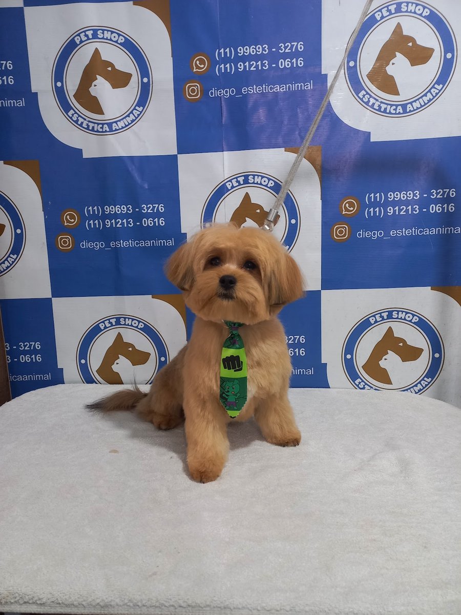Pet shop @diego_estéticaanimal