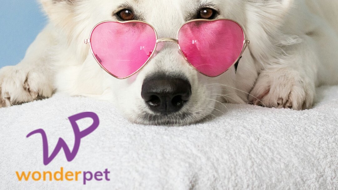 Wonderpet