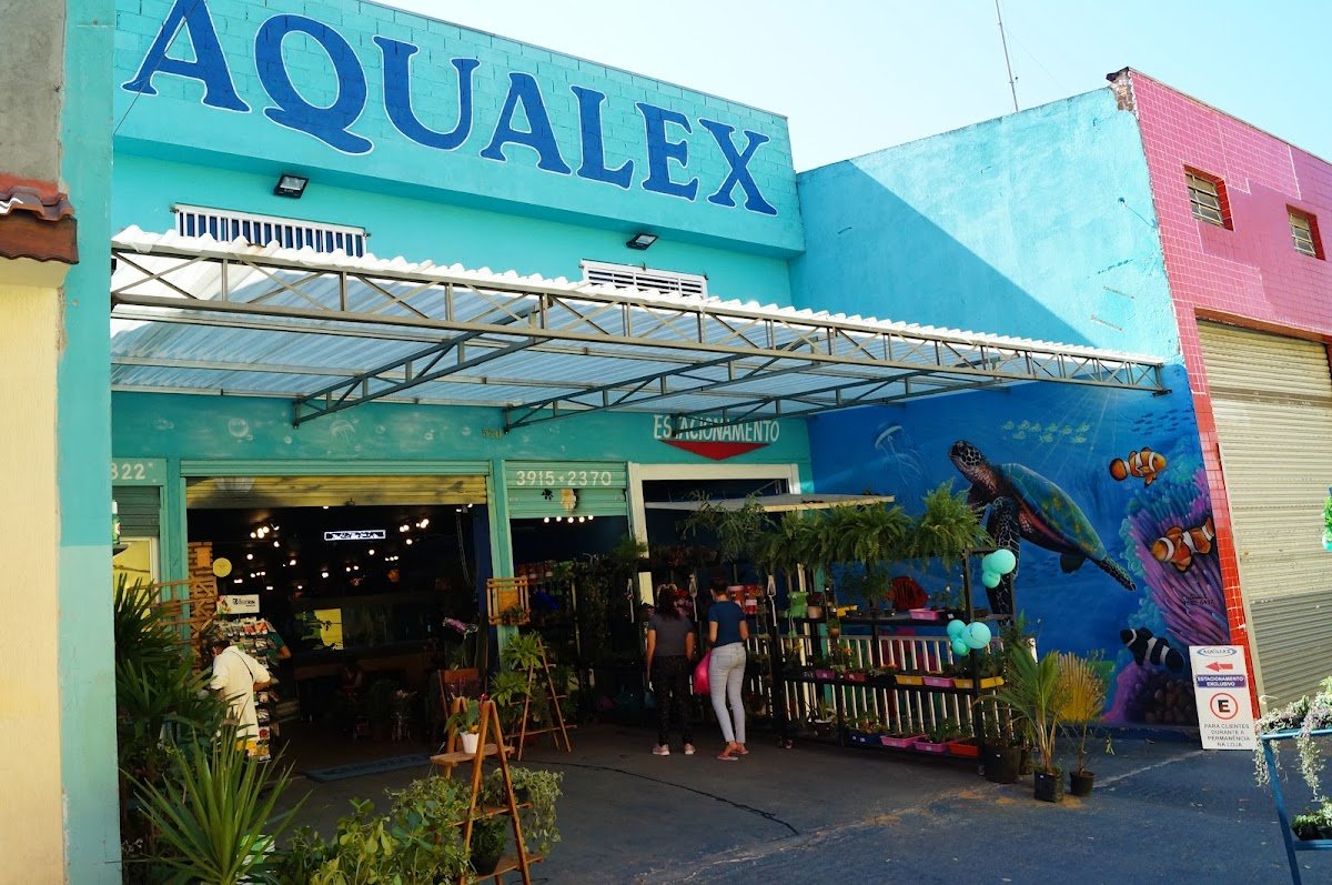 Aqualex Petshop e Aquarismo