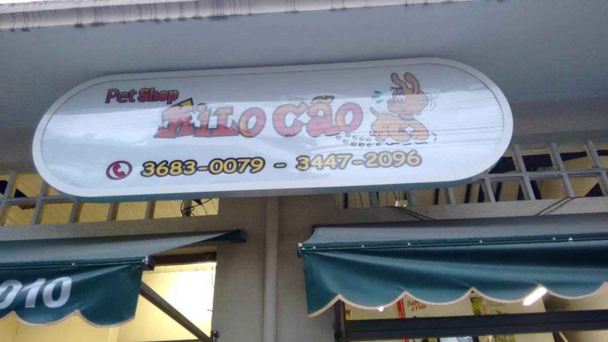 Kilo Cão