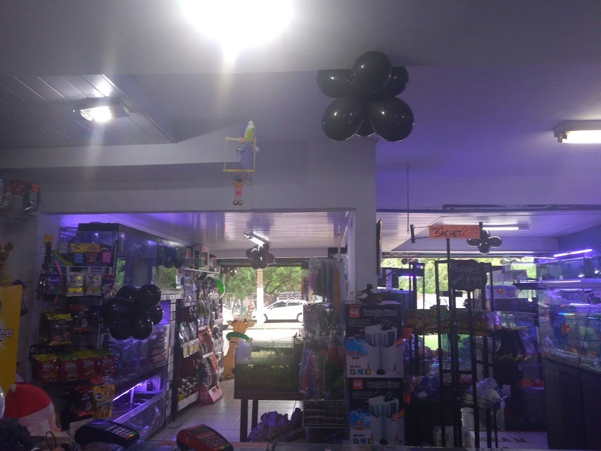 Pet Shop Bichos e Acessórios