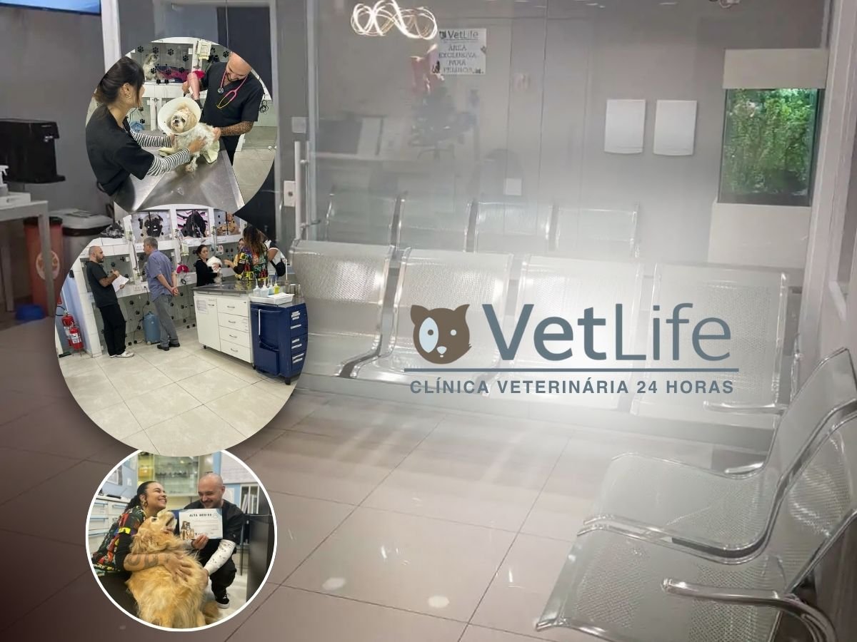 VetLife Veterinary Clinic
