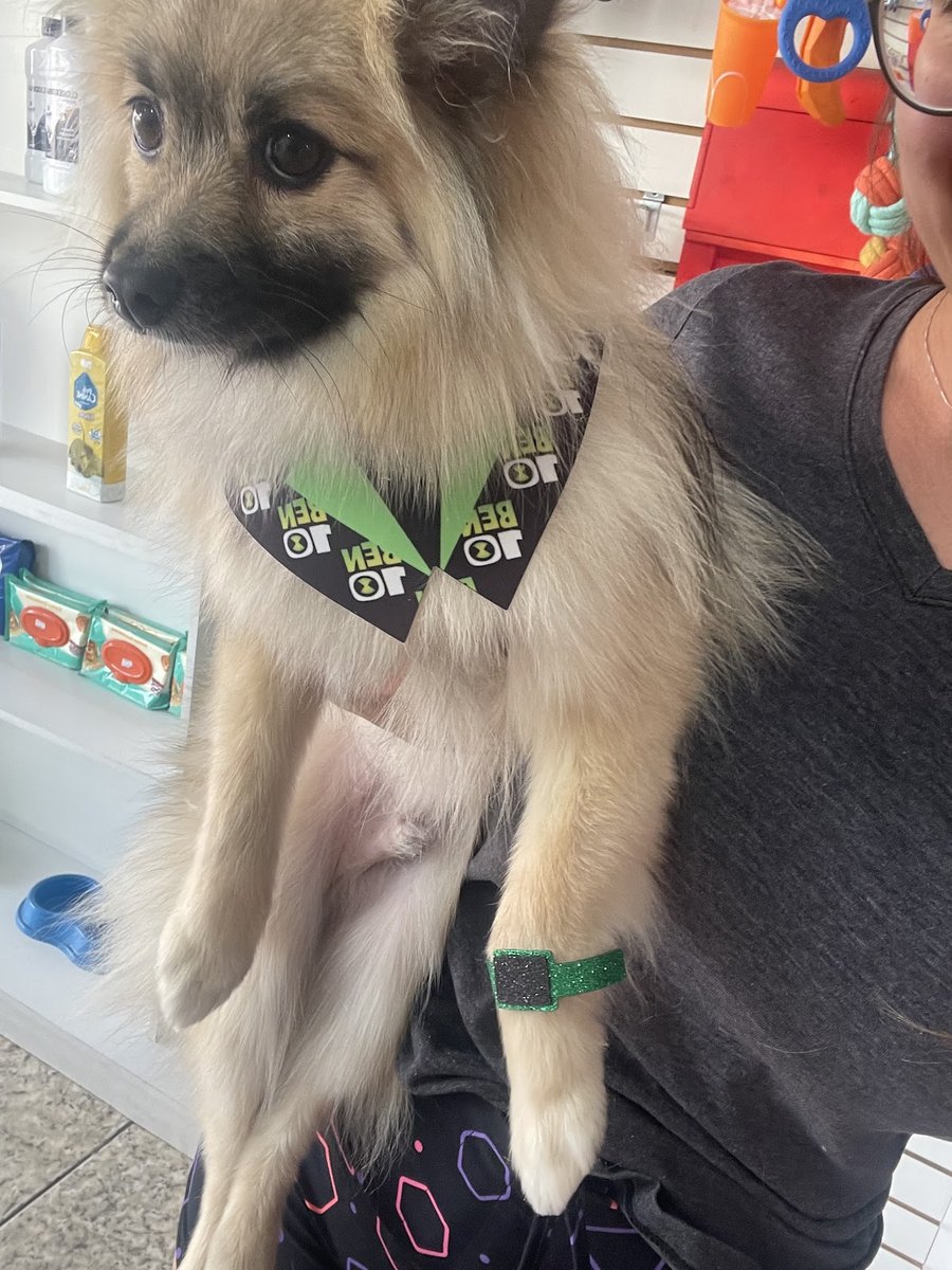 Click Pet Shop Oficial