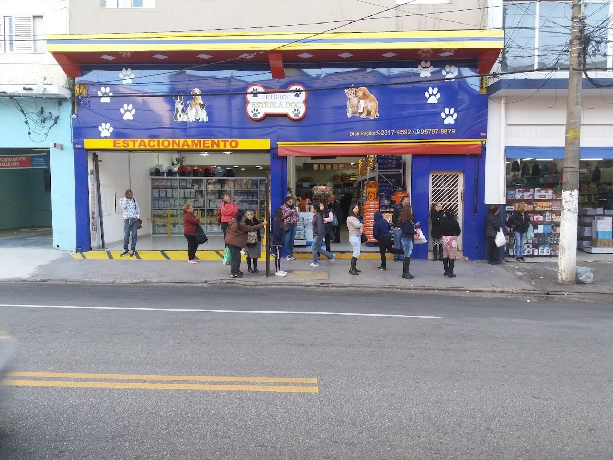 Pet Shop Estrela Dog