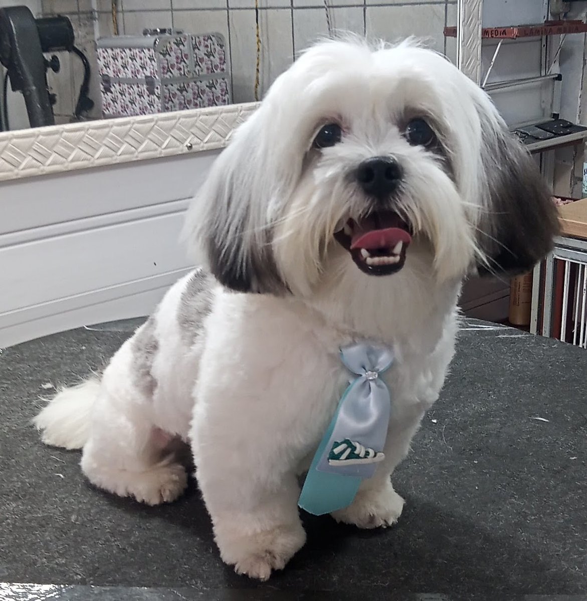 Amélia Banho E Tosa