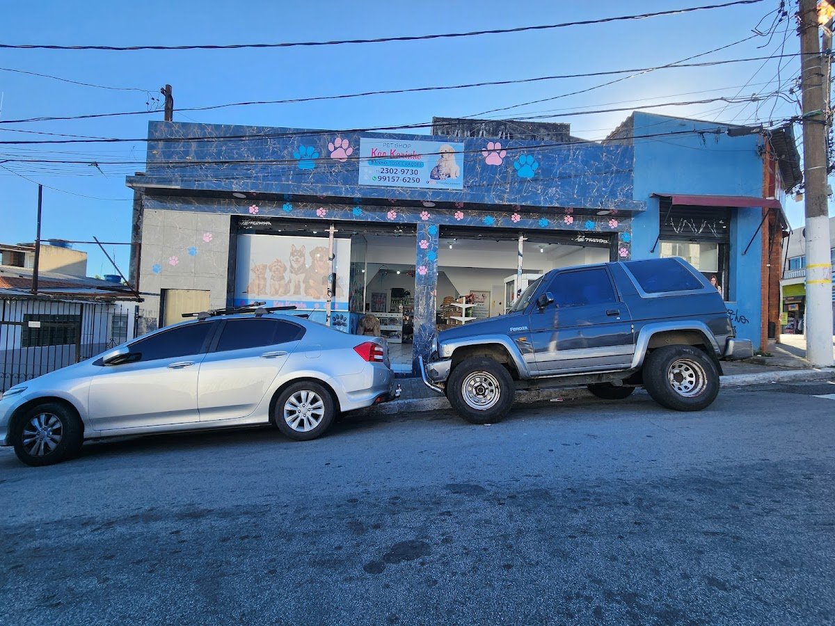 Pet Shop Kão Karinho
