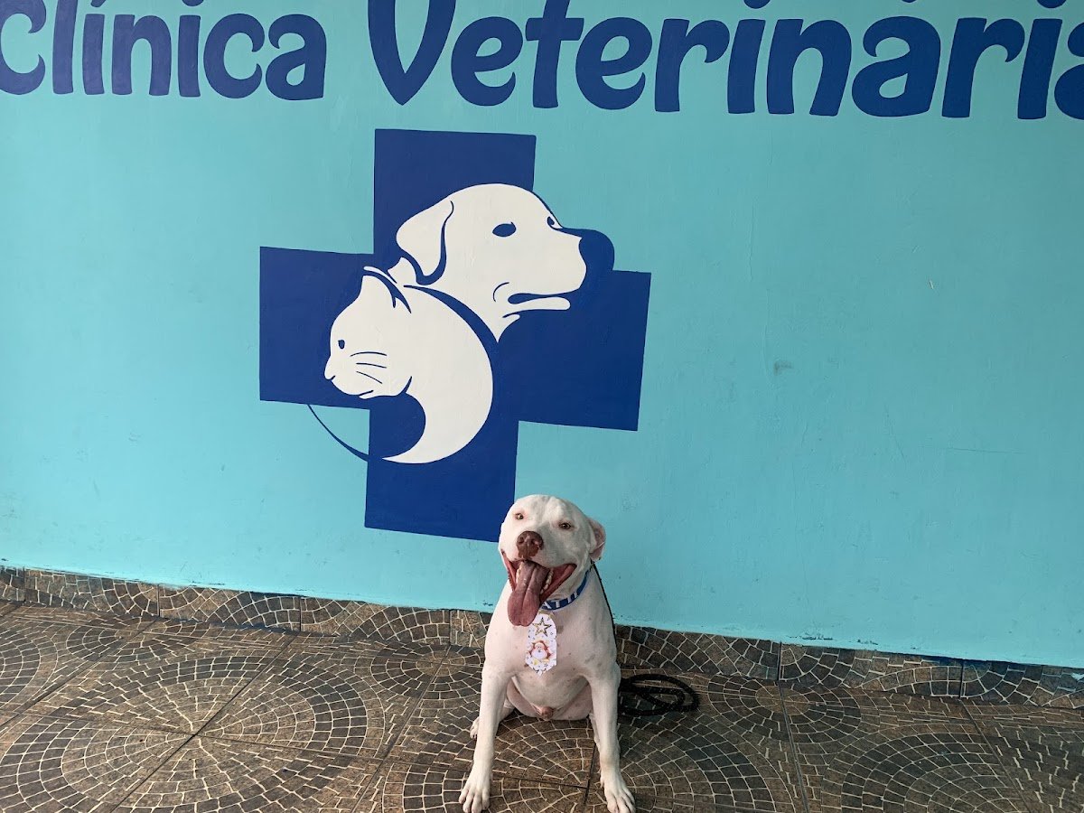 Centro Veterinário Mundo Pet