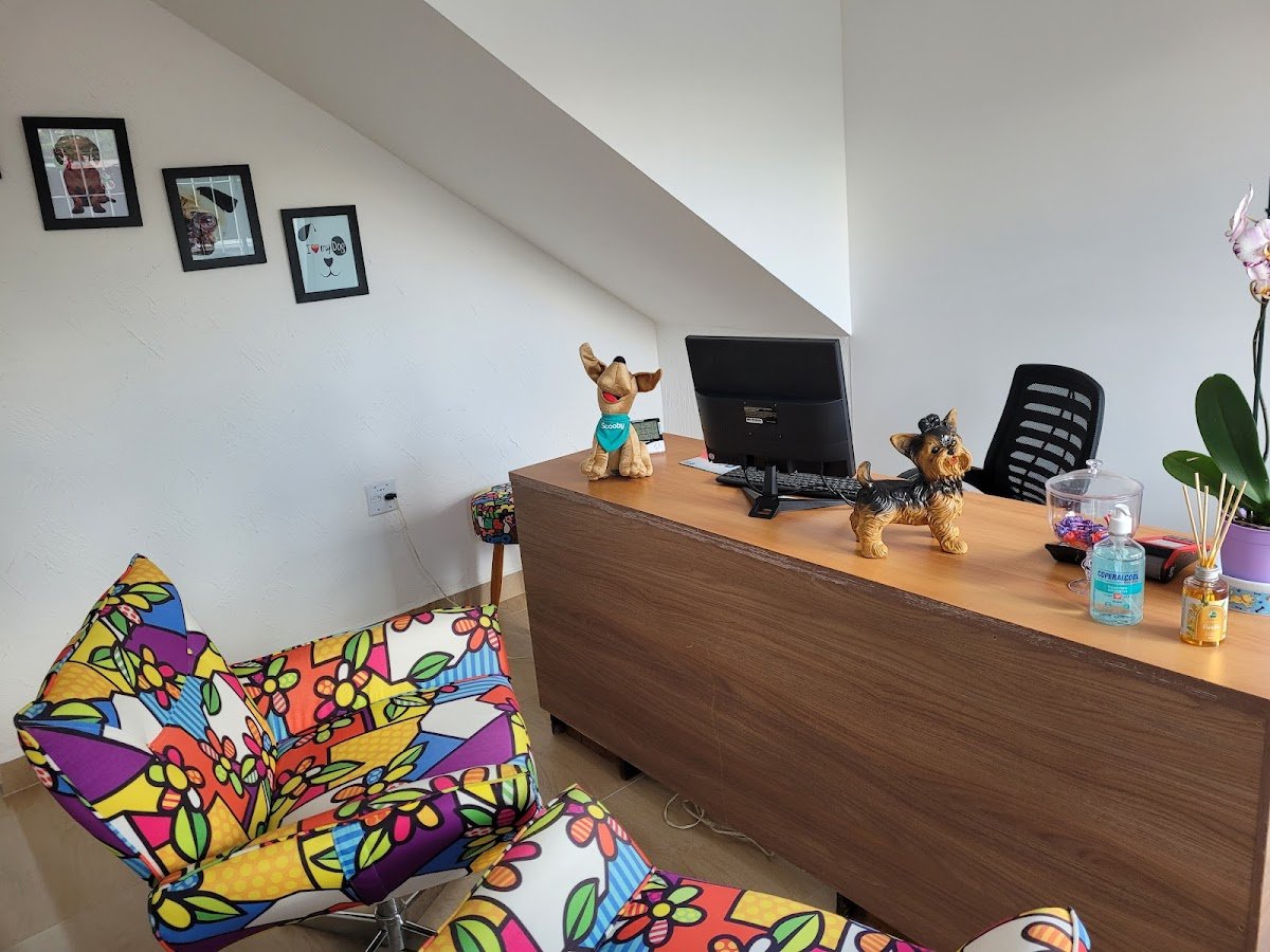 Farmácia Auquimia Pet - Manipulação veterinária