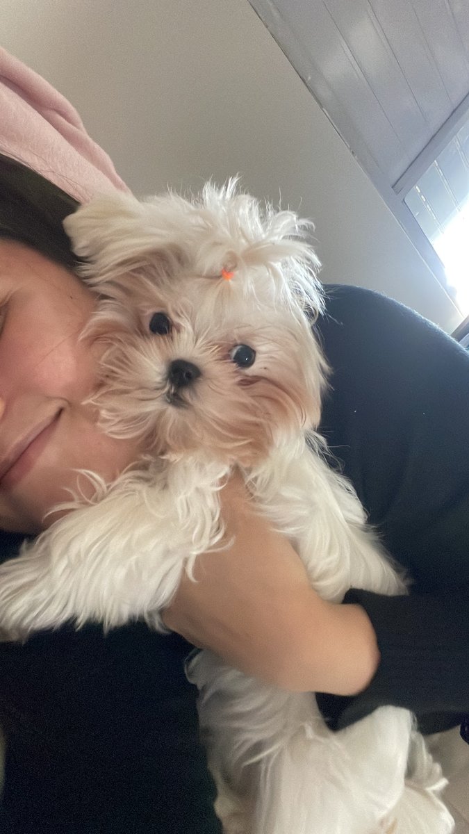 Doctor's Clínica Veterinária