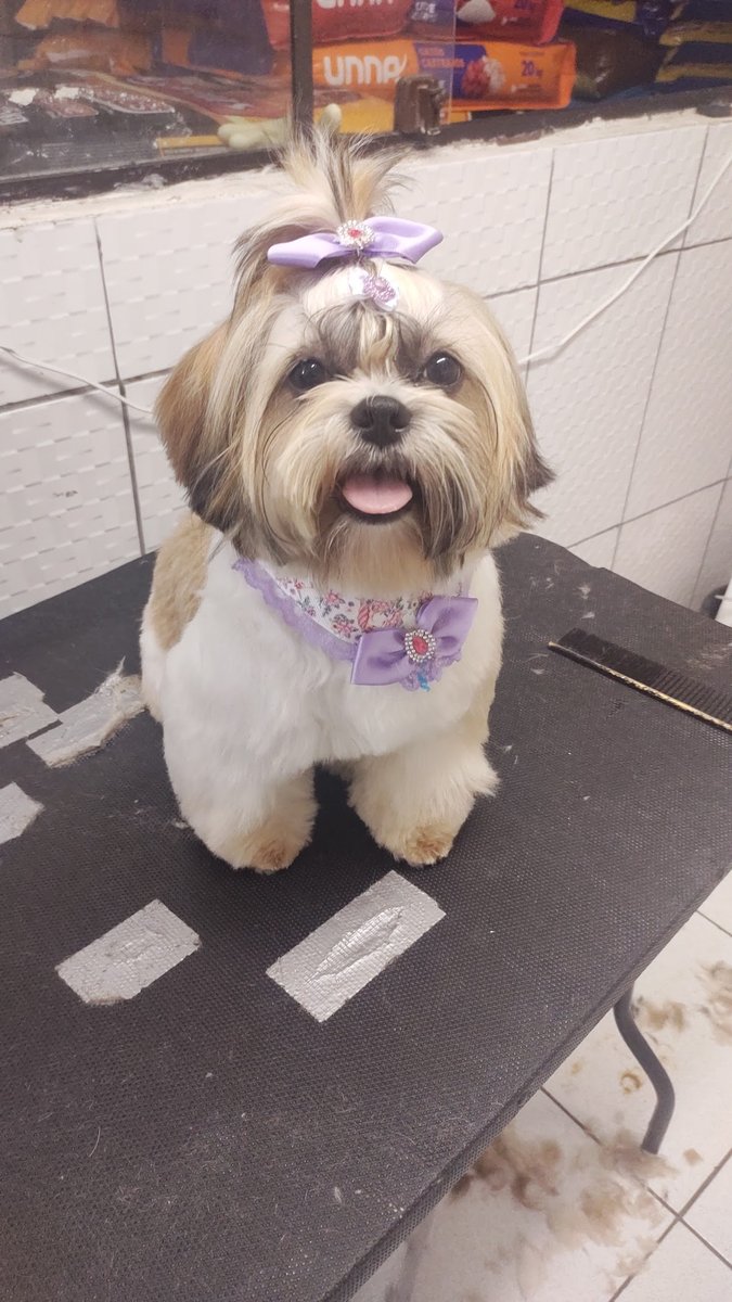 Casa de Ração Pet Shop Ebenézer