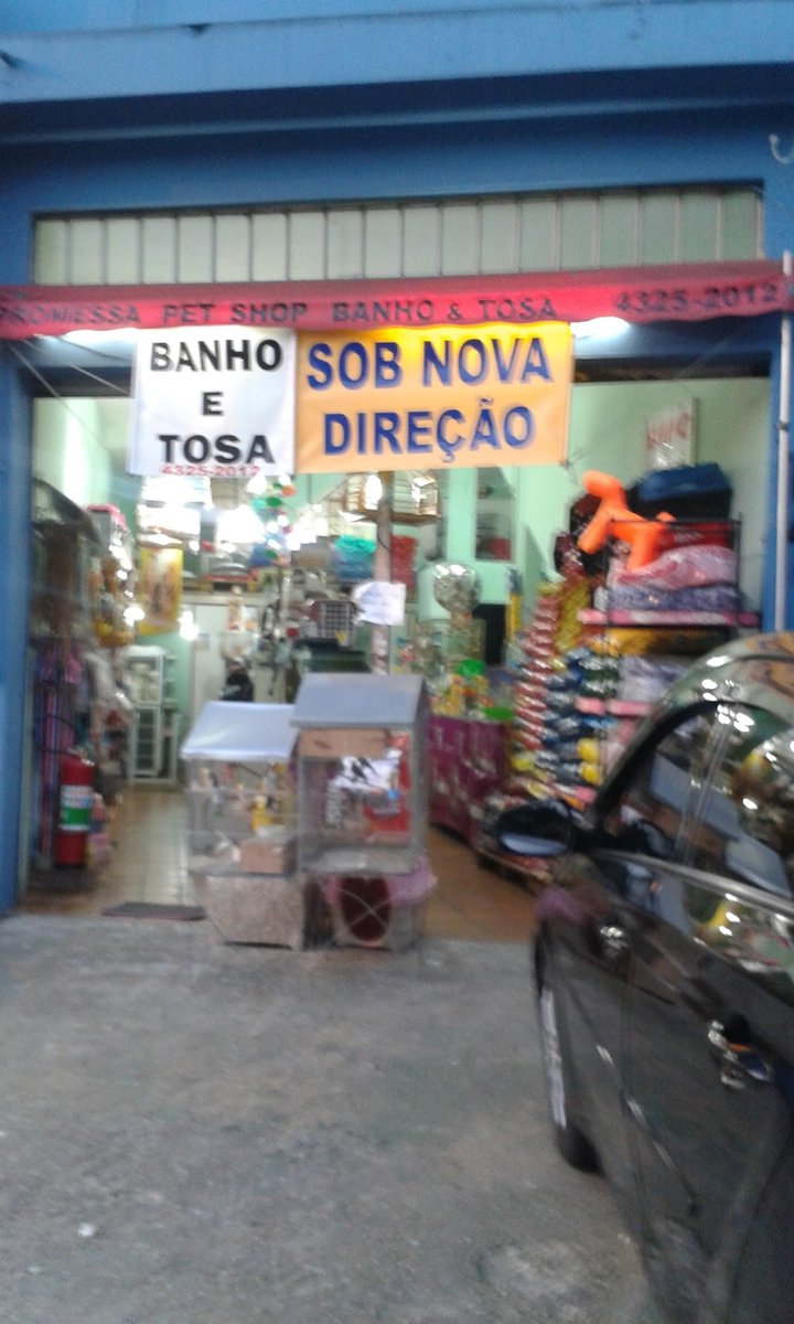 Pet ShopCanela Silvestre
