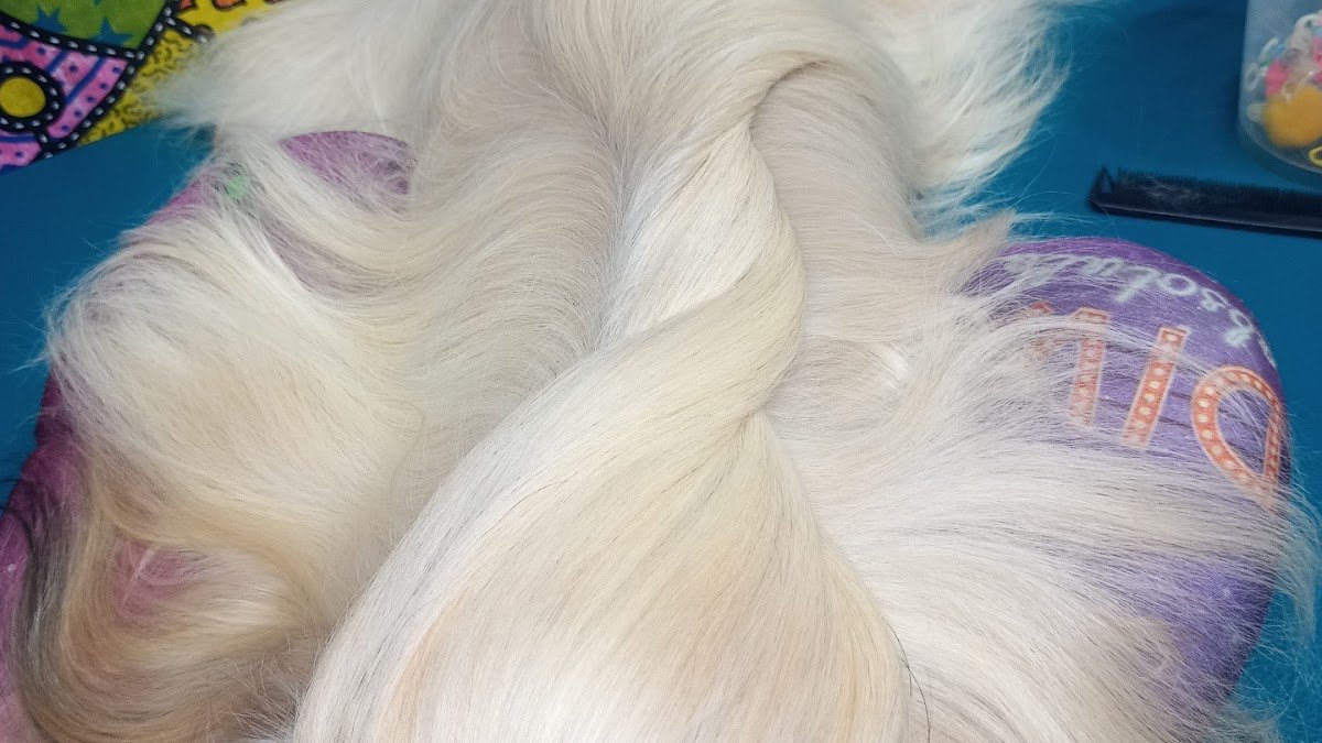 Malukão Banho e Tosa