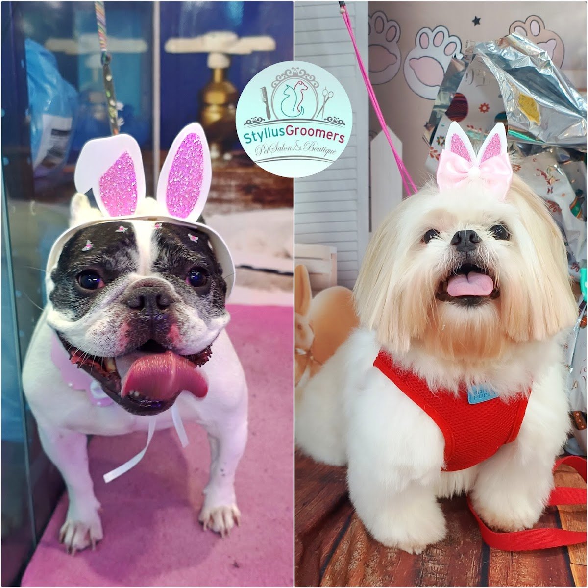 Styllus Groomers Unidade II [Vila Matilde]