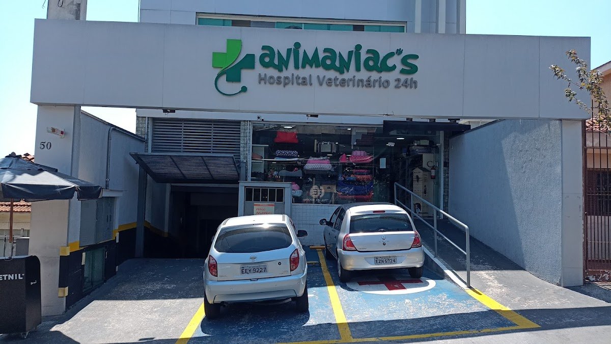 Breeds Petit Vila Matilde