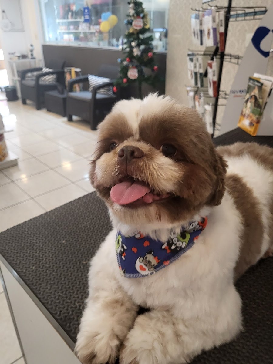 VetQualita Petshop e Clinica Veterinária