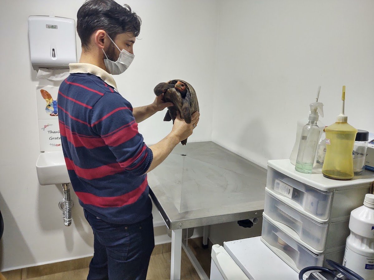 Clínica Veterinária Kimera (especializa em silvestres)